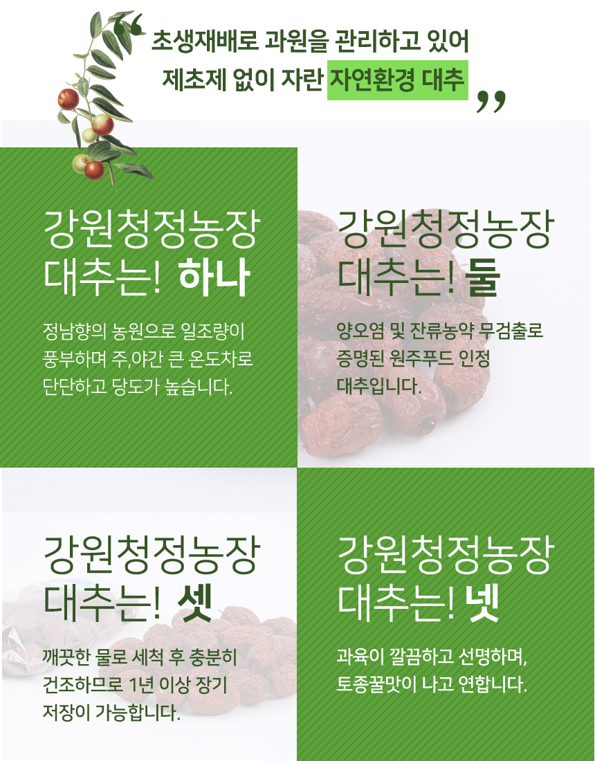 강원청정농장대추소개